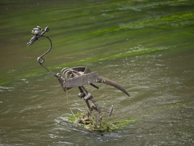 Bestiaire De La Vegre Heron