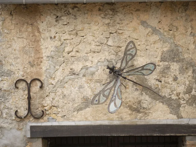 Bestiaire De La Vegre Libellule