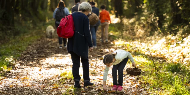 Une enfant ramasse des marrons avec sa grand-mère dans la forêt de Pincé